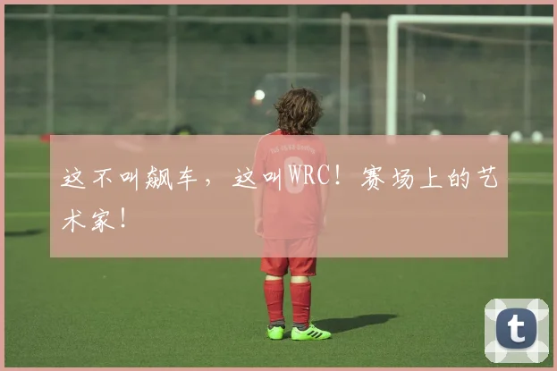 这不叫飙车，这叫WRC！赛场上的艺术家！